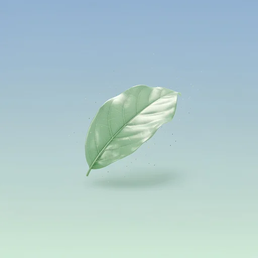 Air Quality icon